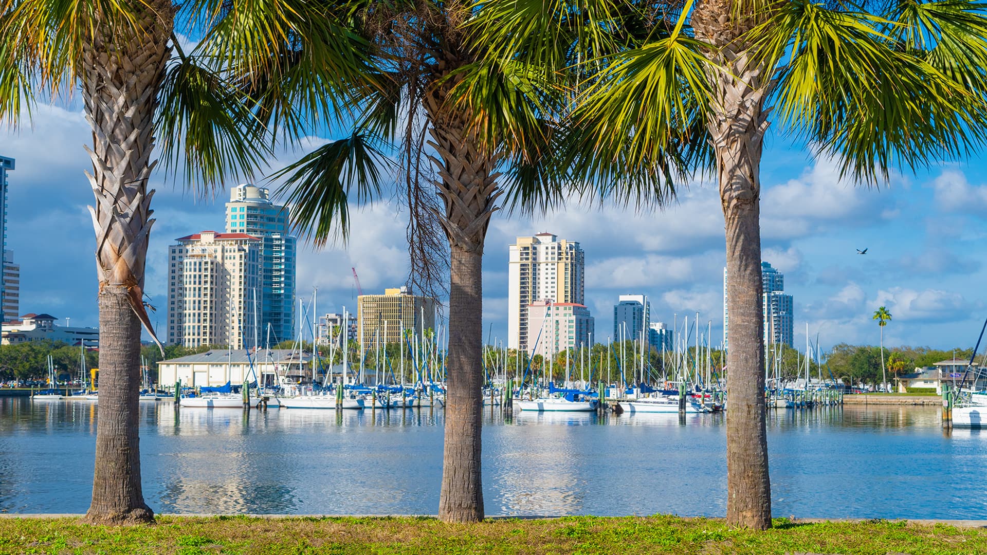 St. Petersburg Cityscape